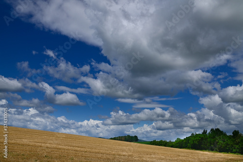 8月の美瑛夏雲のある風景