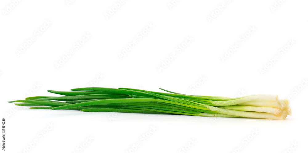 Green onion isolated. Green onion isolated.