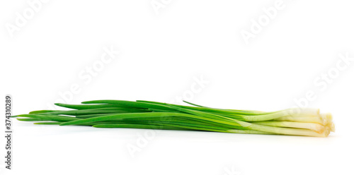 Green onion isolated.