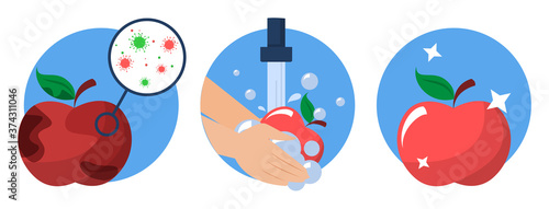 Hands washing dirty apple and it becomes clean vector isolated. Idea of health and hygiene. Cleaning food from bacterium, protection from the virus disease.