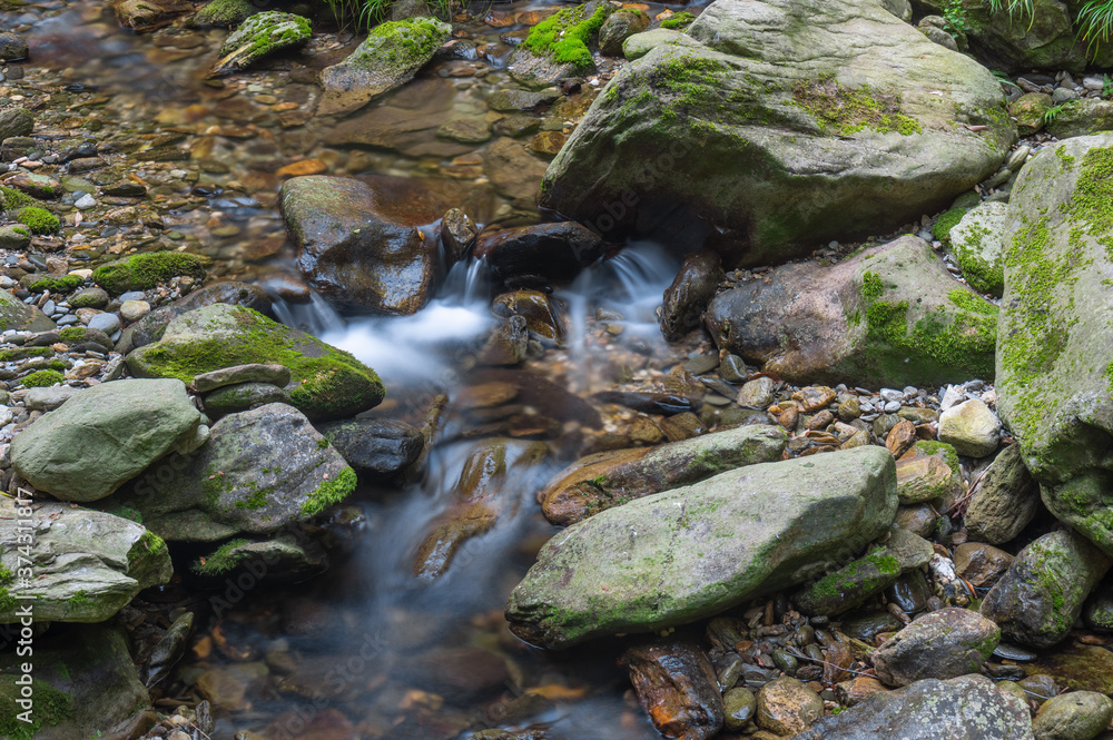 The charming summer scenery of Wudang Mountain, Hubei, China The charming summer scenery of Wudang Mountain, Hubei, China