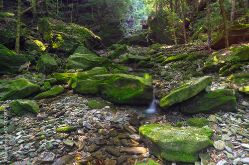 The charming summer scenery of Wudang Mountain, Hubei, China photo