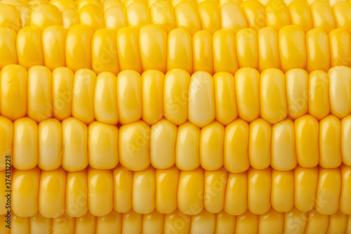 Принти на полотні Yellow fresh corn texture