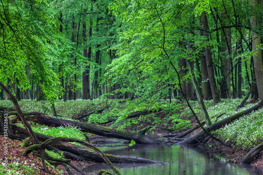 Beautiful view of the Lezczok Nature Reserve
