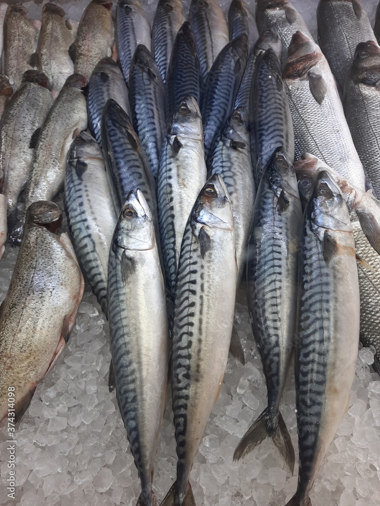 live fresh fish on the counter live fresh fish on the counter