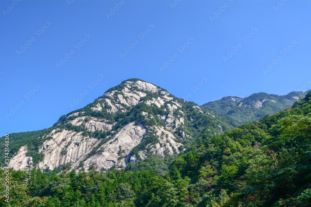 Summer Scenery of Heaven Village National Geological Park in Hubei, China Summer Scenery of Heaven Village National Geological Park in Hubei, China