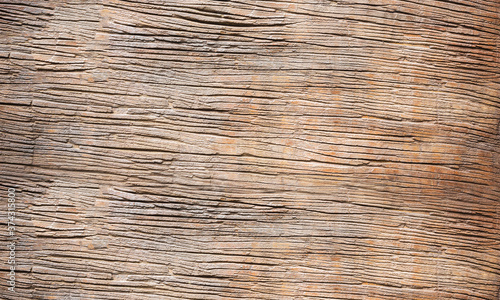 Light brown natural tree wood background texture
