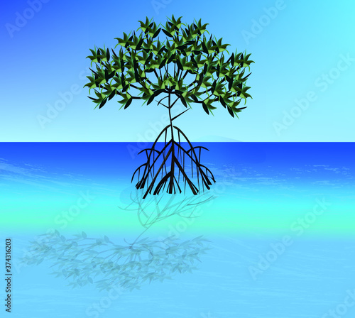 big mangrove tree © Tatiana