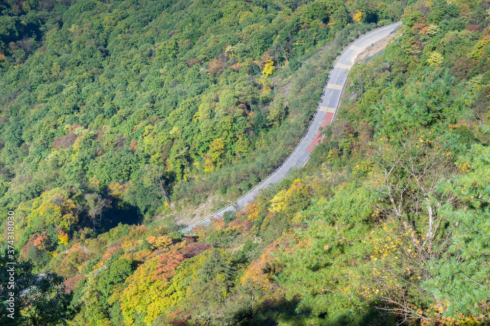 Early autumn scenery of Hubei Shennongjia National Geopark Scenic Area, China Early autumn scenery of Hubei Shennongjia National Geopark Scenic Area, China