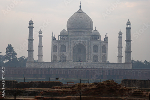 beautiful view of tajmahal from mehtab baag photo