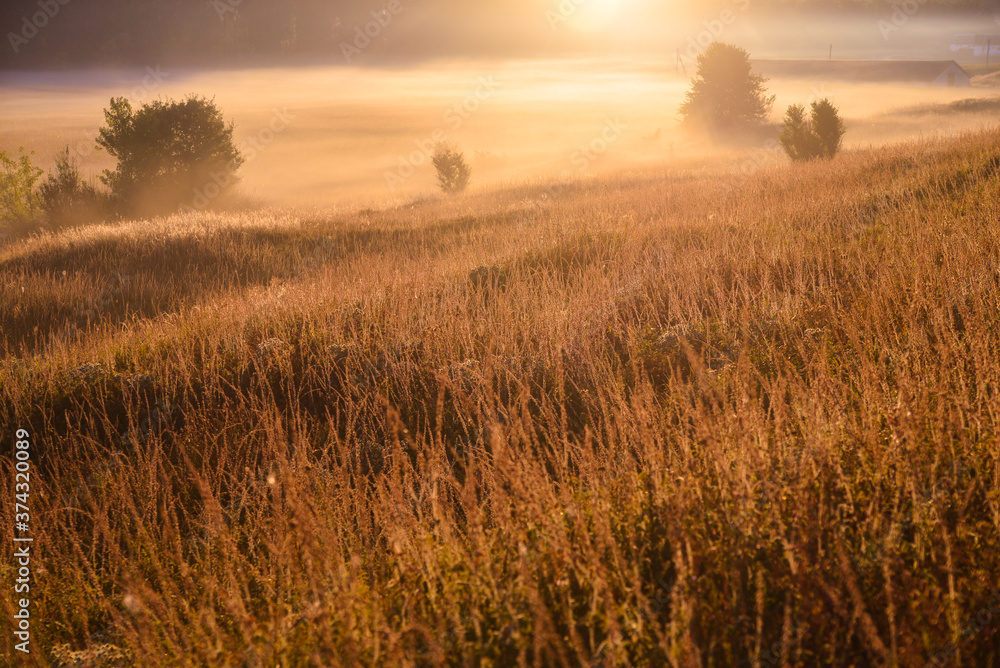 Obraz premium autumn landscape with fog