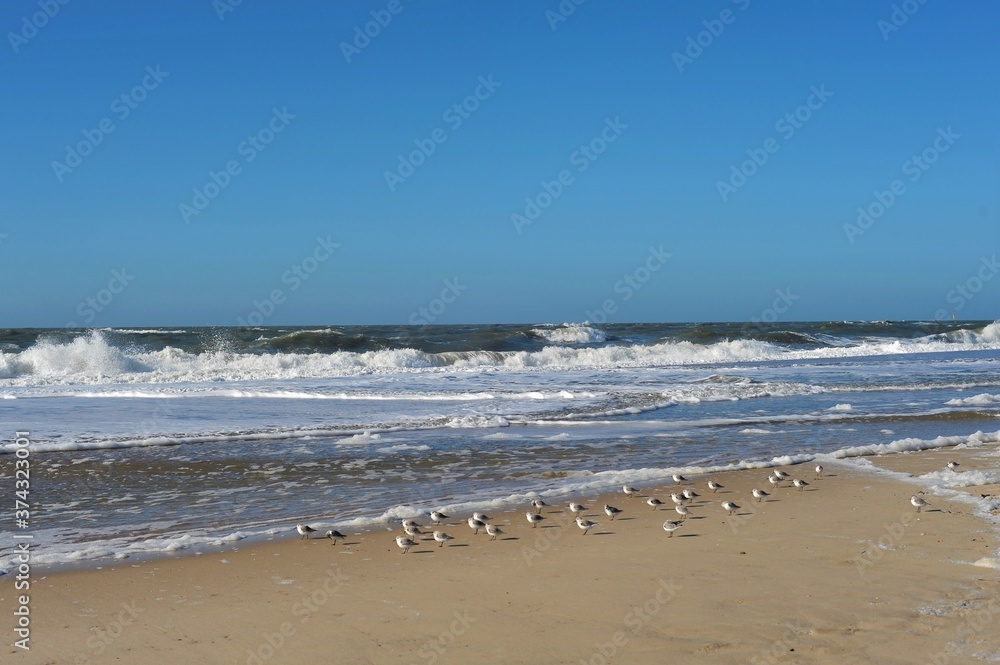 sylt sylt