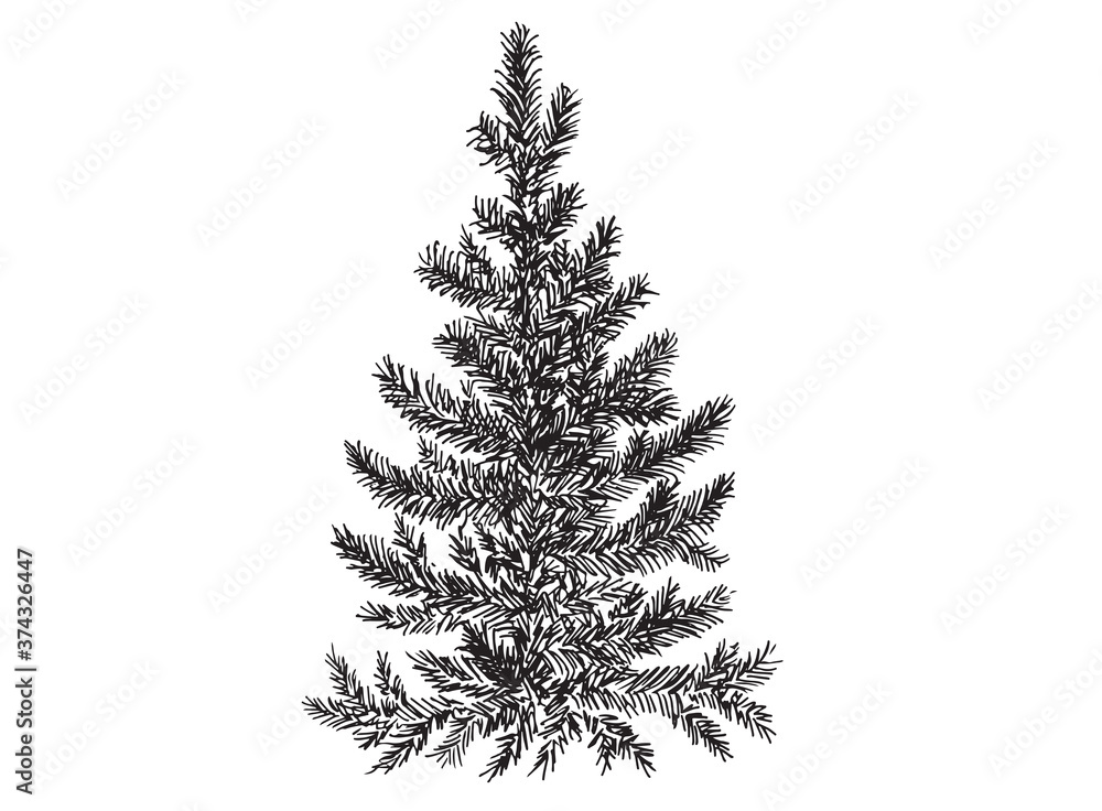 Fototapeta premium Christmas tree. Hand drawn illustration.