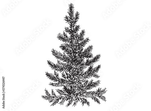 Christmas tree. Hand drawn illustration.	
