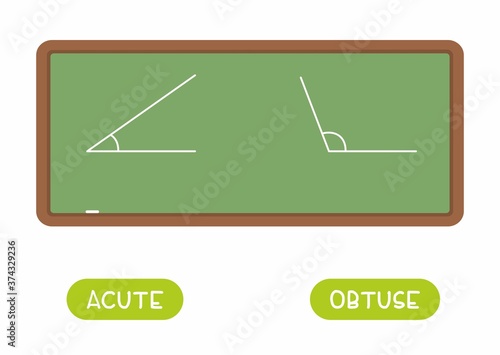 Antonyms concept, ACCUTE and OBTUSE. Educational flash card with  different acorners drawn on the chalkboard template. Word card for english language learning with opposites. Flat vector illustration 