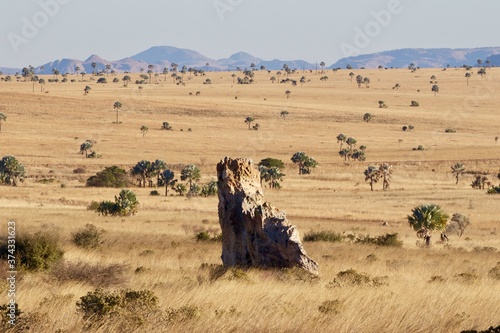 Isalo National Park landscape in Madagascar 