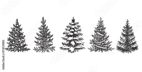 Christmas tree. Hand drawn illustration.	
