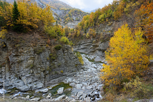 Autumn foliage