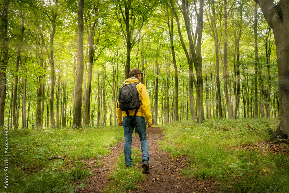Male backpacker walking through a wooded forest,