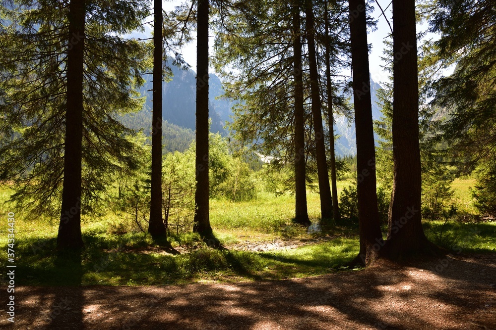 Obraz premium Corner of shade