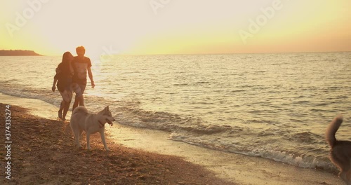 young caucasian couple walking on beach with siberian husky dogs during beautiful sunset or sunrise. Playing with dogs. Pets are the members of family concept