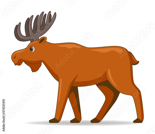 Moose animal standing on a white background