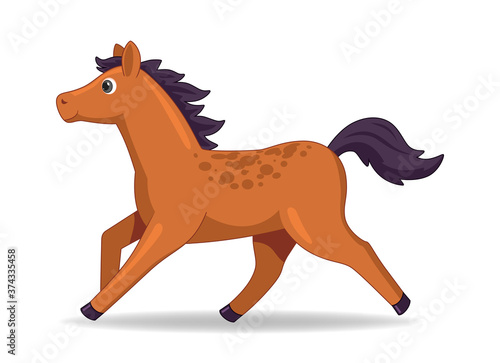 Mustang horse animal standing on a white background