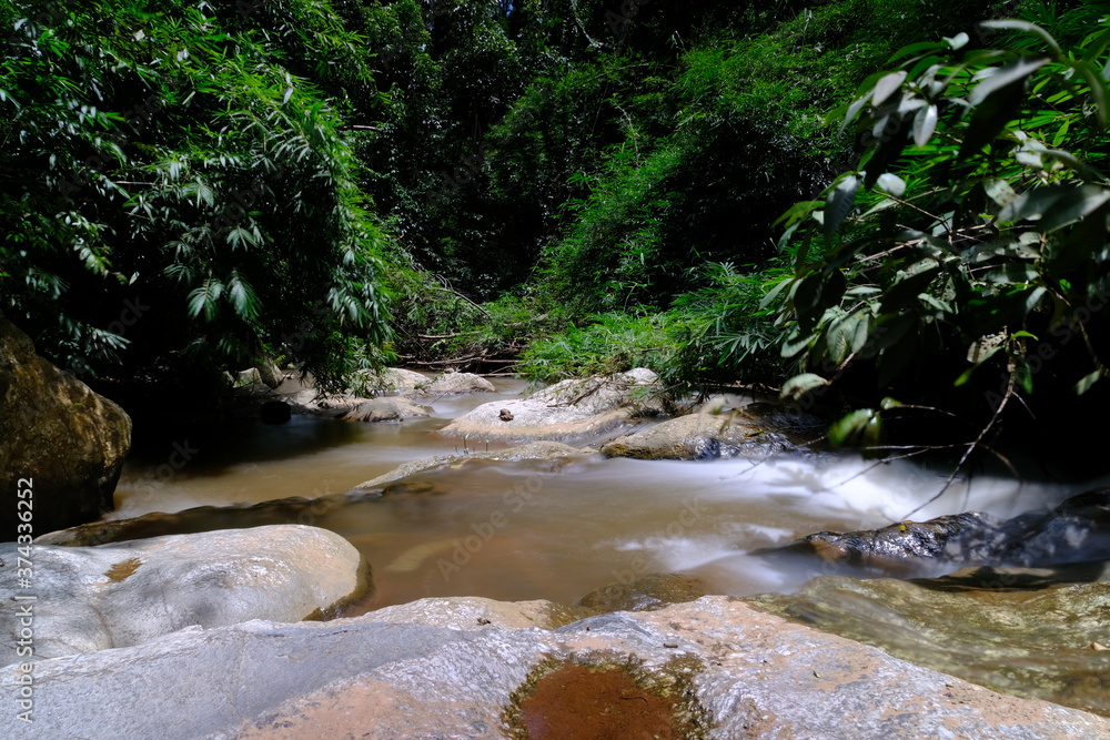 Fototapeta premium waterfall in the forest and green nature wallpaper background