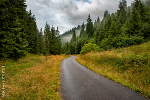 The road to nature