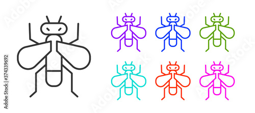 Black line Insect fly icon isolated on white background. Set icons colorful. Vector.