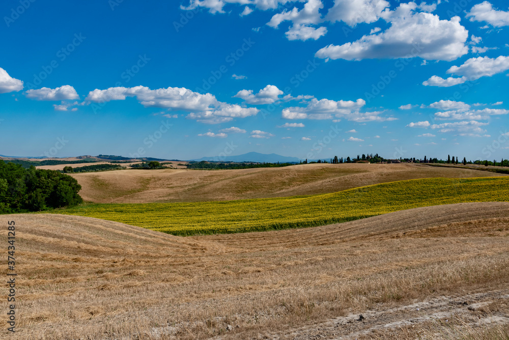 Chianti hills in summer province of Siena Tuscany