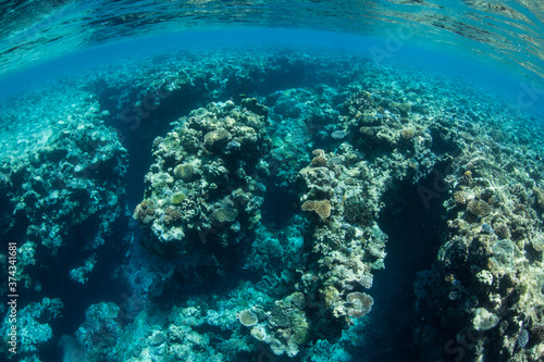 Fototapeta Naklejka Na Ścianę i Meble -  Spur and groove channels, filled with living corals, have eroded along the edge of Palau's southwest barrier reef. This type of channel develops on reefs where wave energy is common.