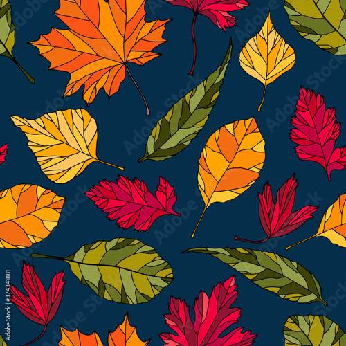 Cep. Autumn set of mushrooms. Cartoon style. White background, isolator. Stock illustration.
