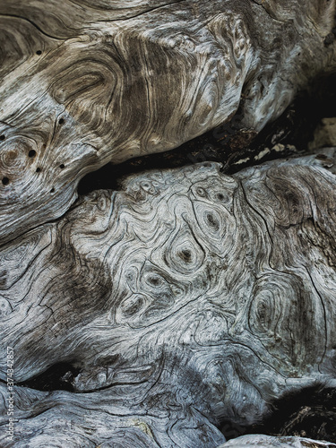 Textures on a piece of old drift wood