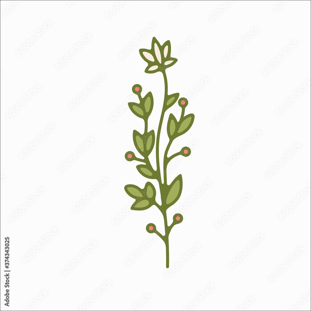 Fototapeta premium flower simple botanical illustrations, line artwork, minimal design elements. elegant and delicate plant doodles for branding, wedding invitation, graphic design. spring floral clip art , feminine art