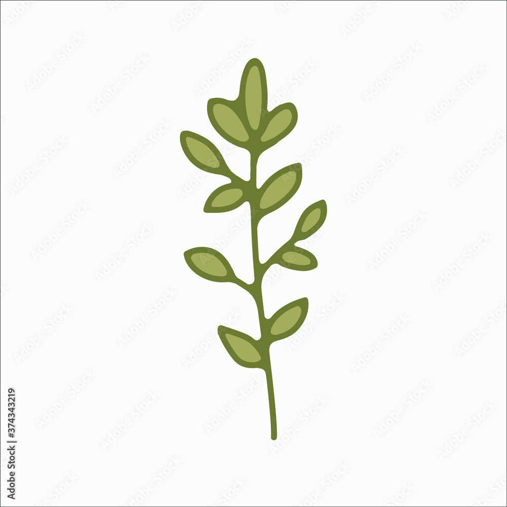 flower simple botanical illustrations, line artwork, minimal design elements. elegant and delicate plant doodles for branding, wedding invitation, graphic design. spring floral clip art , feminine art flower simple botanical illustrations, line artwork, minimal design elements. elegant and delicate plant doodles for branding, wedding invitation, graphic design. spring floral clip art , feminine art
