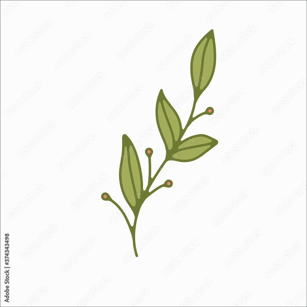 flower simple botanical illustrations, line artwork, minimal design elements. elegant and delicate plant doodles for branding, wedding invitation, graphic design. spring floral clip art , feminine art flower simple botanical illustrations, line artwork, minimal design elements. elegant and delicate plant doodles for branding, wedding invitation, graphic design. spring floral clip art , feminine art