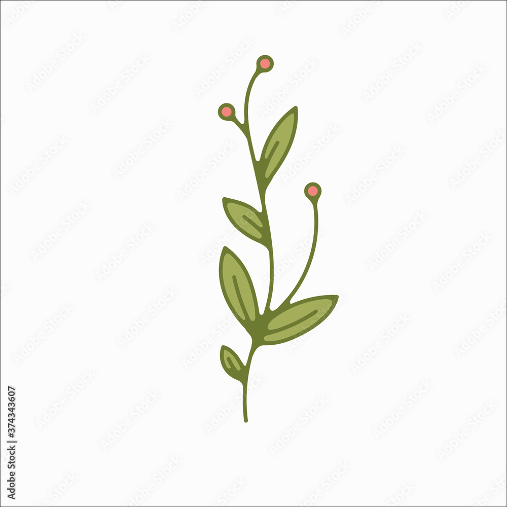 flower simple botanical illustrations, line artwork, minimal design elements. elegant and delicate plant doodles for branding, wedding invitation, graphic design. spring floral clip art , feminine art flower simple botanical illustrations, line artwork, minimal design elements. elegant and delicate plant doodles for branding, wedding invitation, graphic design. spring floral clip art , feminine art