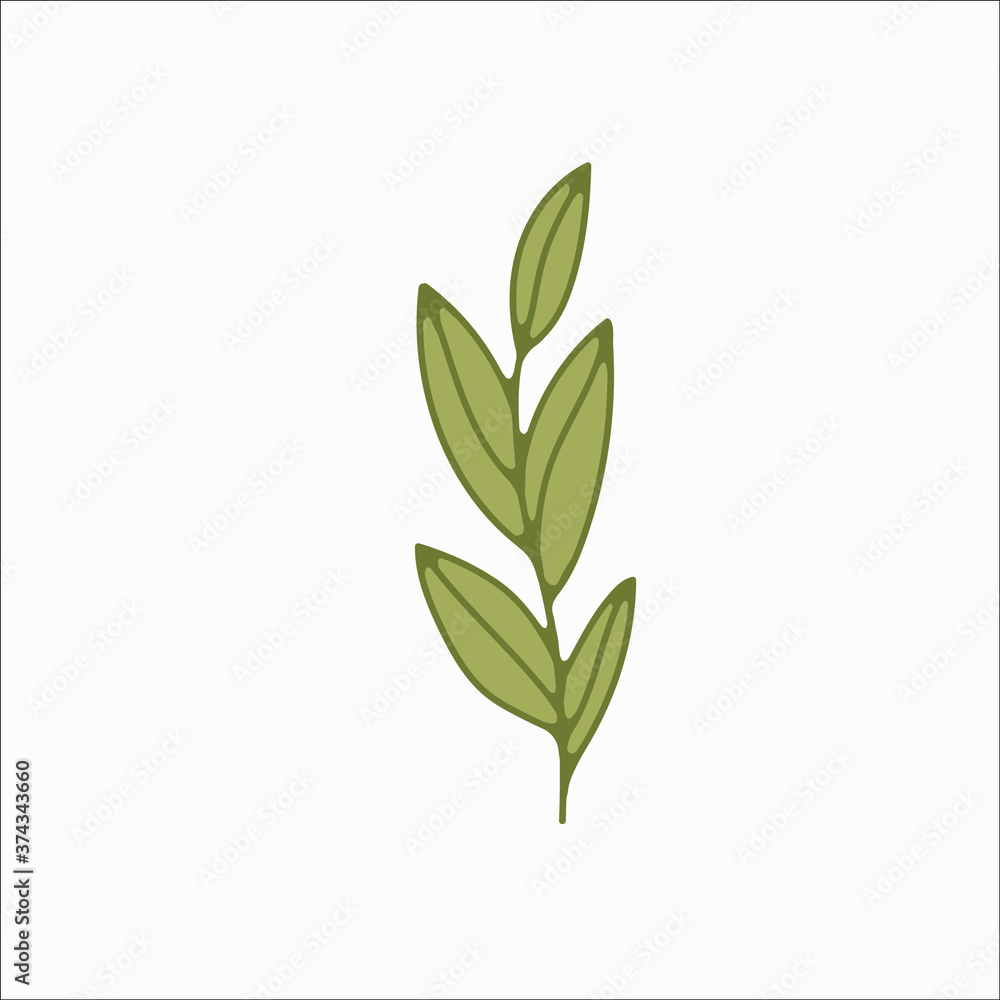 flower simple botanical illustrations, line artwork, minimal design elements. elegant and delicate plant doodles for branding, wedding invitation, graphic design. spring floral clip art , feminine art flower simple botanical illustrations, line artwork, minimal design elements. elegant and delicate plant doodles for branding, wedding invitation, graphic design. spring floral clip art , feminine art