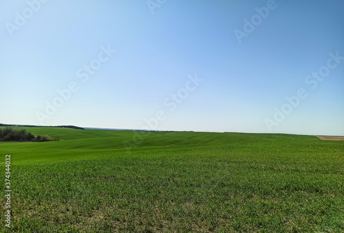 Beautiful view of green fields and meadows against the blue sky. Countryside of Ukraine. Field in sunny weather. Farm land.