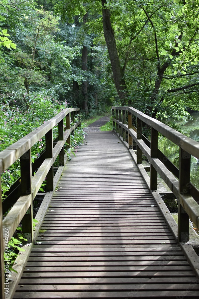 brown wooden bridge, abundant green in nature. brown wooden bridge, abundant green in nature.