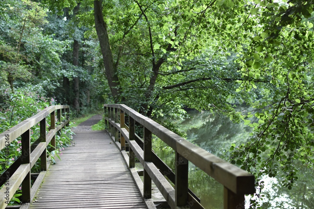 wooden bridge in the woods