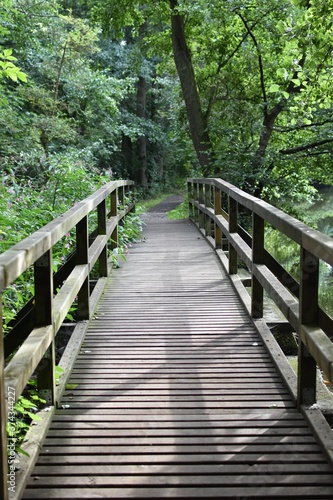 brown wooden bridge, abundant green in nature.