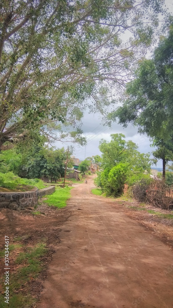 Fototapeta premium road in the indian village