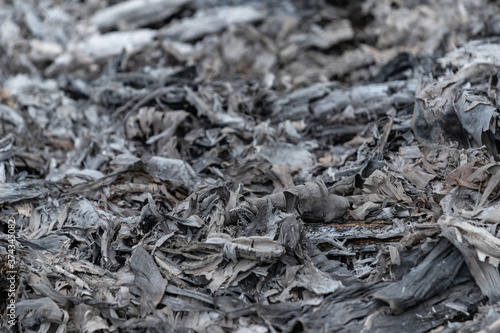 Abstract pile of ashes after the fire went out. Burning wood ash background and texture.