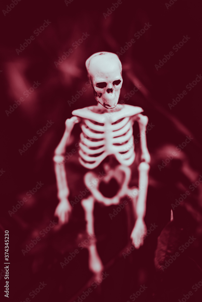 The skeleton walks in the crimson darkness. Night of the bloody dead. Happy Halloween concept. Toning in red. The skeleton walks in the crimson darkness. Night of the bloody dead. Happy Halloween concept. Toning in red.