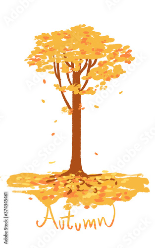autumn tree  isolated on white background