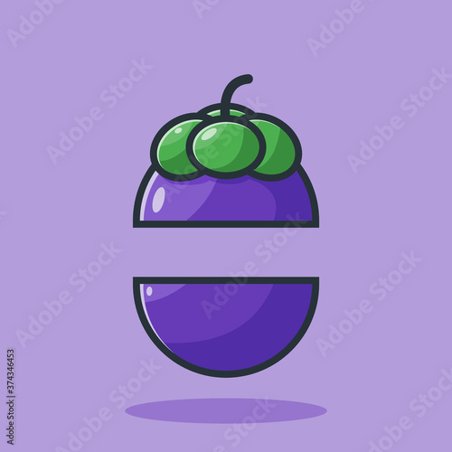 mangosteen fruit vector illustration design halved
