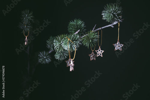 Wallpaper Mural Golden mini stars Christmas decoration on a fir branch Torontodigital.ca