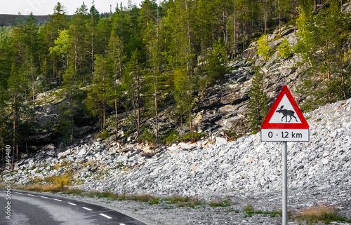 Картината върху платно Be aware of the elk